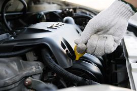 Galería de imágenes