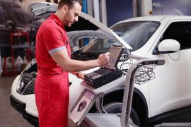 Galería de imágenes