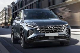 Galería de imágenes