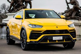 Galería de imágenes