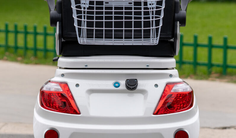 
								Triciclo Shino completo									