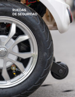 
										Triciclo Shino completo									