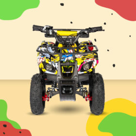 Mini ATV800Q