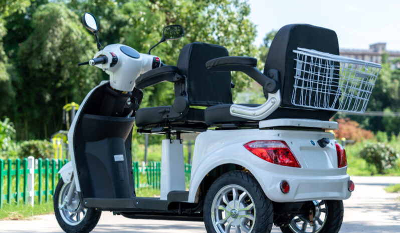 
								Triciclo Shinox completo									