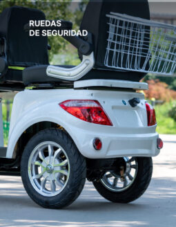 
										Triciclo Shinox completo									