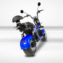 
										Spy Racing Z6 completo									