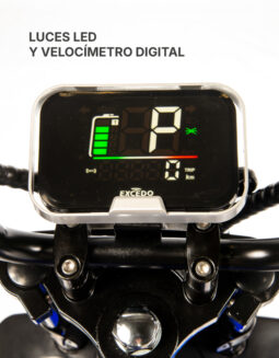 
										Spy Racing Z6 completo									