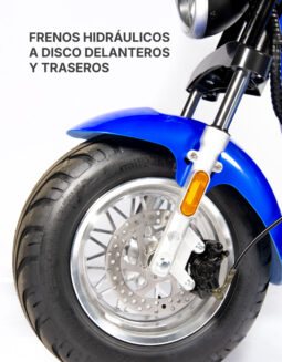 
										Spy Racing Z6 completo									