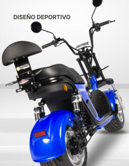 
										Spy Racing Z6 completo									