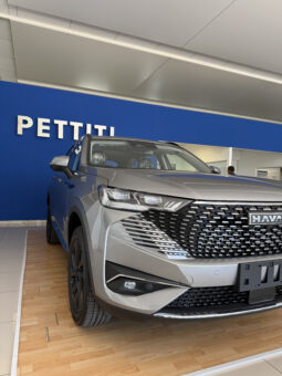 
										HAVAL H6 SUPREME – GWM completo									