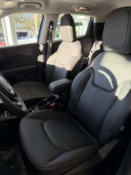 
										FIAT TORO VOLCANO 1.3 TURBO completo									