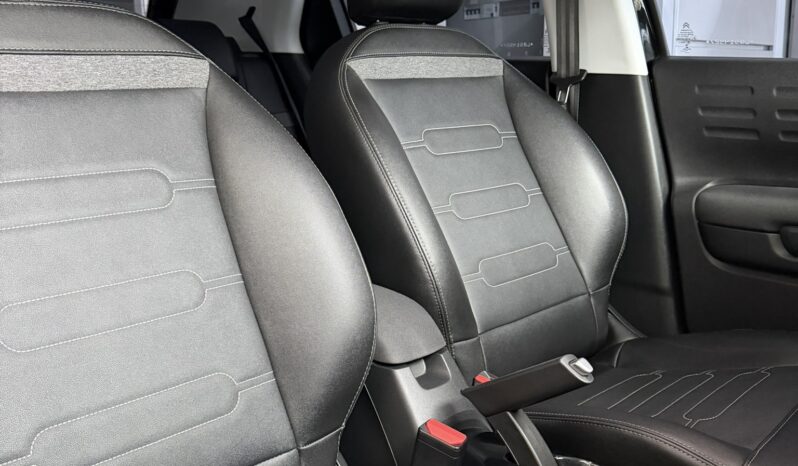 
								Citroën C4 Cactus 2020 completo									