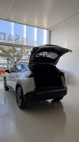 
										Peugeot 2008 Active T200 completo									